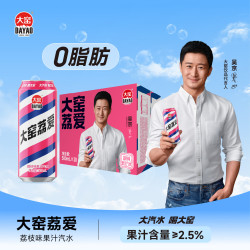 大窑 荔爱 汽水 荔枝味 500ml*20听
