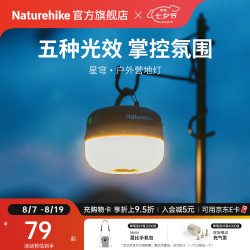挪客户外 可充电 营地灯