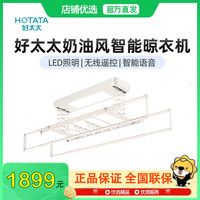 好太太 电动声控晾衣架嵌入晾衣杆照明晒衣架HZ-D301W