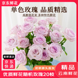 京东鲜花 七夕情人节随机色玫瑰花20枝颜色生活鲜花玫瑰插花源头直发