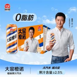 大窑 果汁汽水碳酸饮料 500mL*20罐橙诺