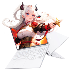 机械革命 蛟龙16Pro R9-8945HX RTX5070 300Hz 白色 16GB+1TB 游戏本