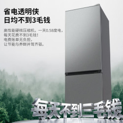 康佳 AR-186G2 直冷两门双开门172L 典雅灰