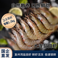 3斤大连复州湾盐田虾海虾鲜捕大虾速冻保鲜甜虾海鲜顺丰冷链包邮 1500g(净重