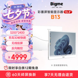 BIGME B13 30Hz高刷彩墨屏 13.3英寸 电子书阅读器