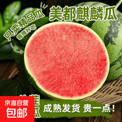 正宗冰糖麒麟西瓜超甜薄皮8424西瓜应季无籽现摘整箱新鲜水果 7-8