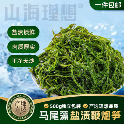 山海理想 盐渍鞭炮笋500g