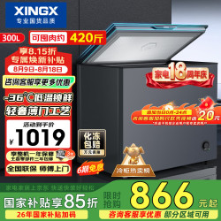 星星 零下30℃ 冰柜  300L