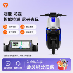 雅迪 冠能龙霆Y-G 电动自行车