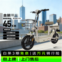 金箭 长续航 电动自行车 铅酸电池 棕色