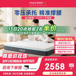 MLILY 护脊版  可拆洗独袋弹簧床垫 护脊零压记忆绵床垫1.8*2米适中偏硬
