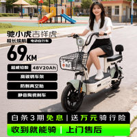 驰小虎 长续航 电动自行车  浅绿 20Ah 48V