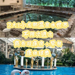 维景酒店 2大1小温泉水世界不限次+康体+早餐+龙熙双床房