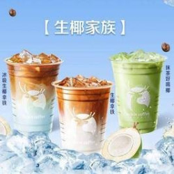 生椰家族6选1