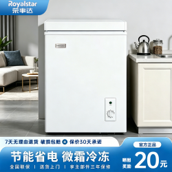 荣事达 29-300升冰柜家用小型微霜冷冻大容量节能冷柜商用节能低噪