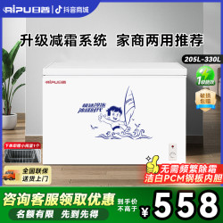 日普 家用大容量冰柜全冷冻型冷柜一级节能小冰柜
