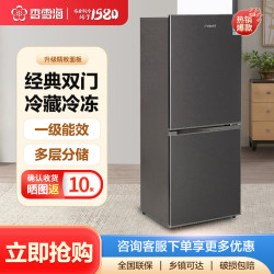 香雪海 206升冰箱双开门 冰箱小型家用 宿舍租房两用电冰箱
