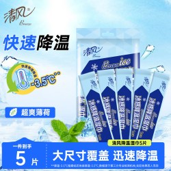 清风 直播赠品清风降温湿巾5条1包户外运动军训必备便携降温冰感湿巾