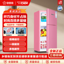 香雪海 42L小冰箱家用小型电冰箱冷藏冷冻宿舍租房小冰箱双门节能B