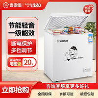 香雪海 110升冰柜 冰柜家用小型冷冻柜 冰柜处理直播 小冰柜