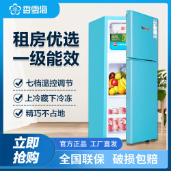 香雪海 42-216L双开门冰箱家用小型电冰箱冷藏双温小冰箱出租房节能冰箱