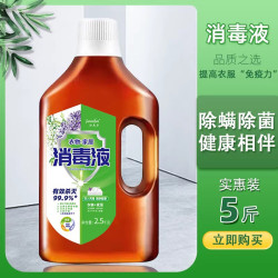 洁美芬 5斤衣物除菌液5斤除菌深层清洁家庭促销装消毒液衣物除菌剂松木2