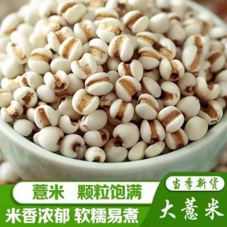 云南贵州新鲜去壳大薏仁米新货薏米可煲粥泡水煮粥炖汤五谷杂粮