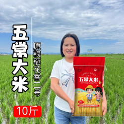 [小媳妇自家]2025年新米正宗五常大米稻花香2号香米10斤包邮