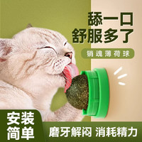 皇恒赛级 猫薄荷球猫玩具自嗨解闷清洁磨牙棒逗猫神器耐咬猫咪用品