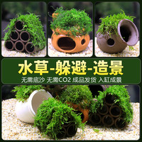 鱼缸迷你骷髅莫斯水草躲避屋高级小型躲避罐虾屋摆件假山躲避物