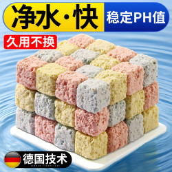 鱼缸过滤材料硝化细菌屋陶瓷环鱼池净化水质石英球过滤器培菌滤材
