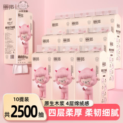 丽邦 绵绒感4层柔厚悬挂式柔软抽纸家用纸巾