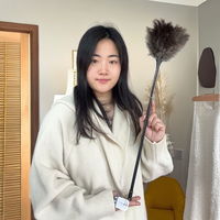 鸵飞飞鸵鸟毛掸子家用打扫装饰除尘长柄逗猫棒可水洗签到优价好物