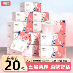 丽邦生活5层柔厚抽纸400张20包家用抽取式家用