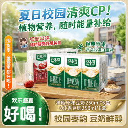 豆本豆 两种口味原味红枣豆奶早餐奶零食饮品囤货12盒