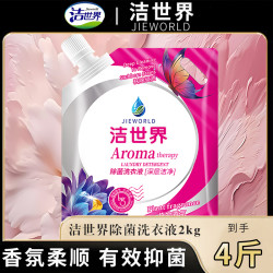 持久留香抑菌家庭装芬芳洗衣液袋装深层洁净香氛洗衣液