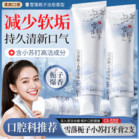 雅牙仕 雪落栀子牙膏小苏打清洁牙齿减少软垢清新口气巨留香成人口腔护理 雪落栀子香牙膏120gx2支