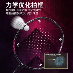 李宁 羽毛球拍雷霆小钢炮穿线单拍进攻型入门拍5U穿线AYPT307 黑色 5U  穿线