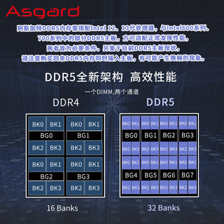 阿斯加特 海拉 DDR5 6000 CL28 极夜黑 16GB(8GBx2) 台式机内存条