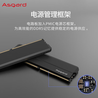 阿斯加特 海拉 DDR5 6000 CL28 极夜黑 16GB(8GBx2) 台式机内存条