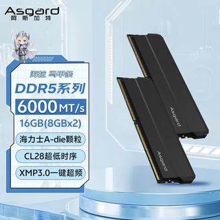 阿斯加特 海拉 DDR5 6000 CL28 极夜黑 16GB(8GBx2) 台式机内存条