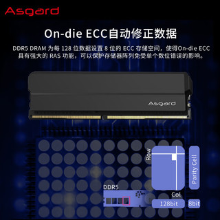 阿斯加特 海拉 DDR5 6000 CL28 极夜黑 16GB(8GBx2) 台式机内存条