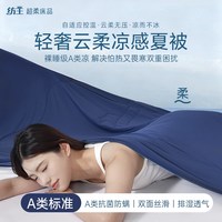 纺王 凉感冰丝 150x200cm 纤维被