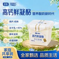 初酪 两盒装 高钙鲜凝酪1kg*2盒酸奶家庭装高钙生牛乳发酵 8月1日生产