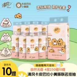 清风 4层悬挂式抽纸
