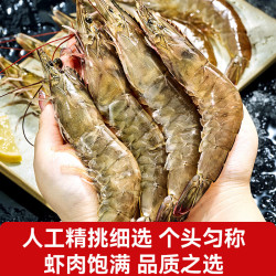 兆华 青岛大虾 1500g