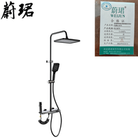 蔚珺牌高端全铜按键枪灰淋浴花洒WJ-8670