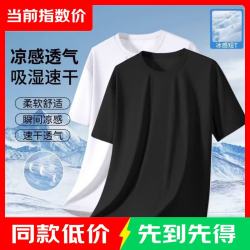 其它 短袖t恤男款2026夏季透气网眼大码体恤圆领上衣运动跑步 网眼短袖深灰+白色 2XL