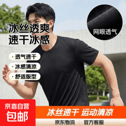 其它 夏季冰丝短袖T恤男透气速干衣冰感大码运动沙滩速干上衣GG网眼T 黑色 M