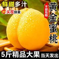 春福乐 新鲜应季现摘现发香甜多汁黄金蜜桃孕妇水果包邮 5斤甄选装净4.5斤